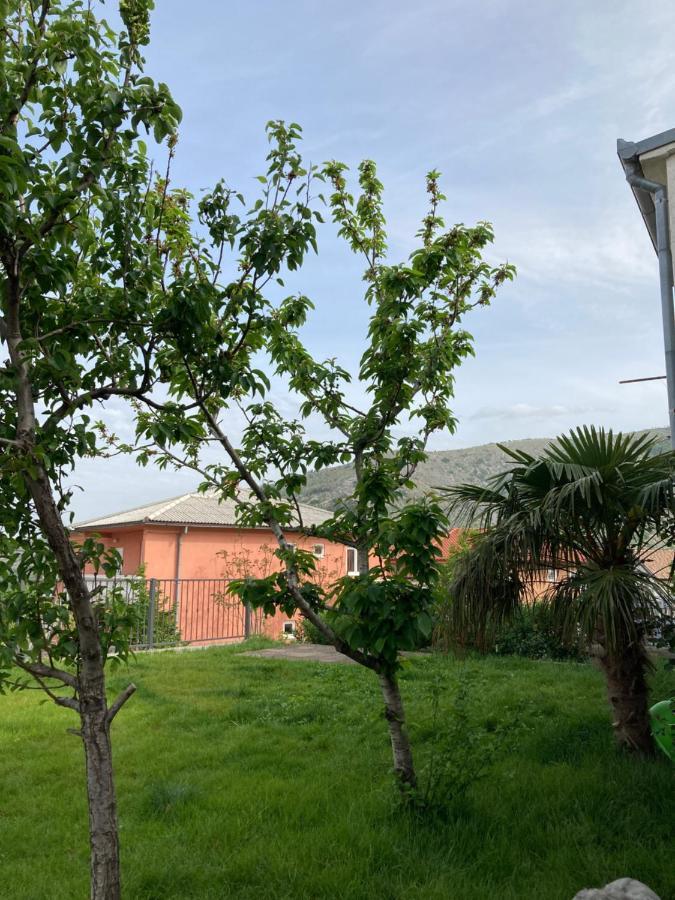 Seaview Apartment Moritz 塞尼 外观 照片